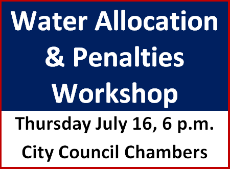 Website Graphic3.png